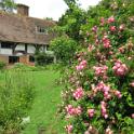 157 Bedewell Garden in June - June 2011